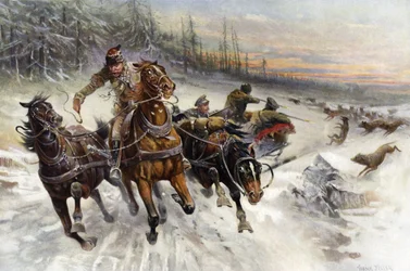 Von Wölfen angegriffen